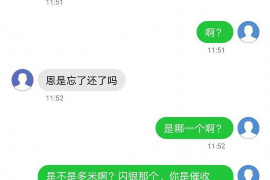 桐城企业清欠服务